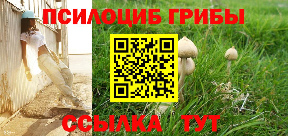 Бузулук  где найти наркотики  Вход с VPN  Псилоцибиновые грибы мицелий 