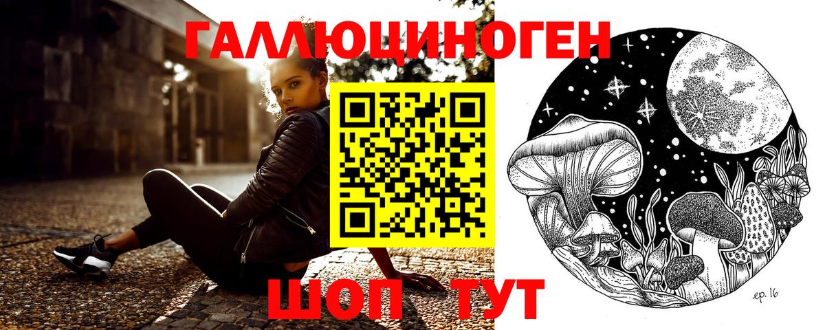 Галлюциногенные грибы Psilocybe Бузулук
